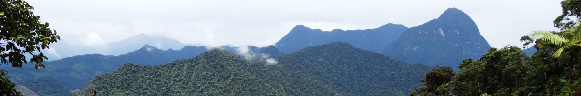Reserva Drácula, Ecuador