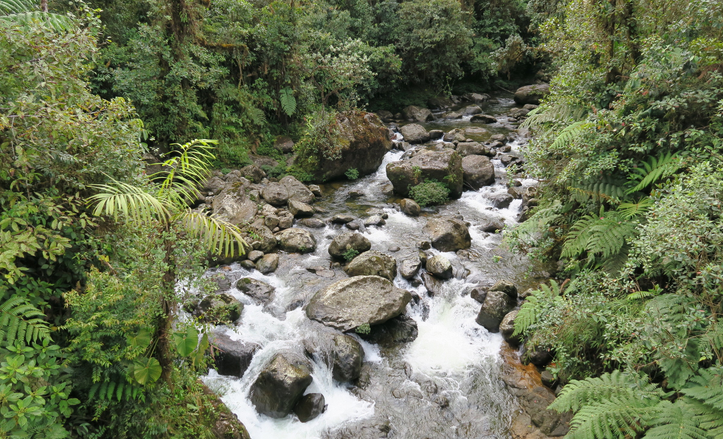 Reserva Drácula, Ecuador